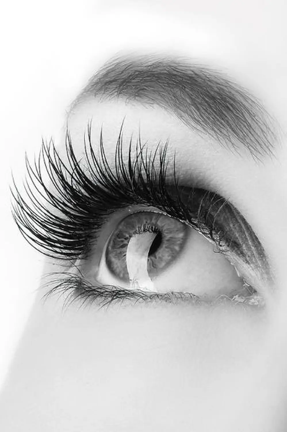 Wimpernverlängerung BELLA CONTURA