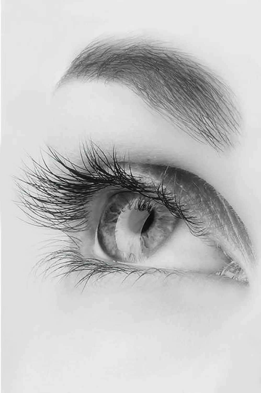 Wimpernverlängerung BELLA CONTURA